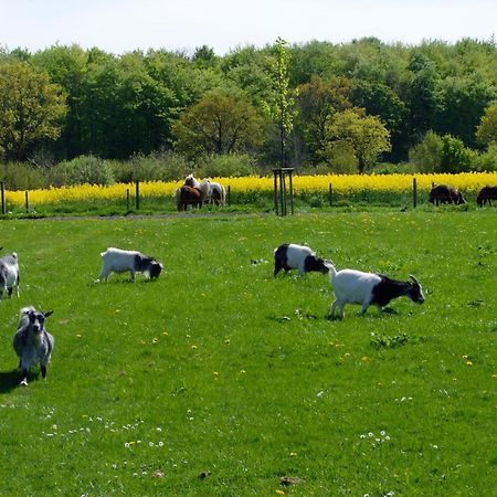 Ferienwohnungen Auf Dem Ferienhof Sell Stoltebüll Eksteriør bilde
